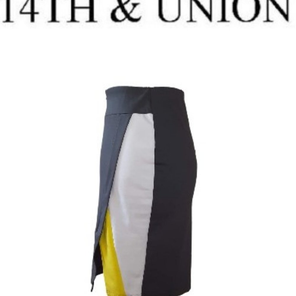 14th & Union Color Block Pencil Skirt